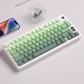 Ivy Pro 104+16 / 26 Cherry Profile PBT Dye-subbed Doubleshot Backlit Keycaps Set Top / Side Legends for Mechanical Keyboard